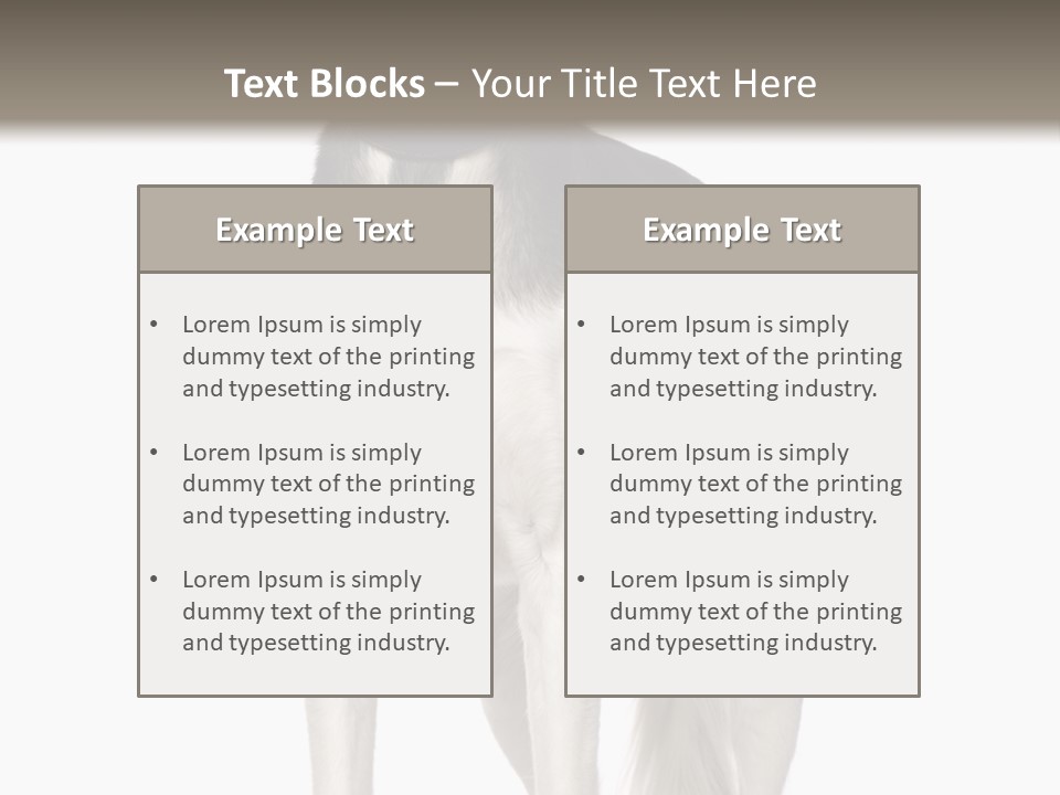 A Black And White Dog Standing In Front Of A White Background PowerPoint Template