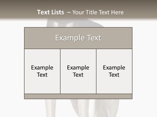 A Black And White Dog Standing In Front Of A White Background PowerPoint Template