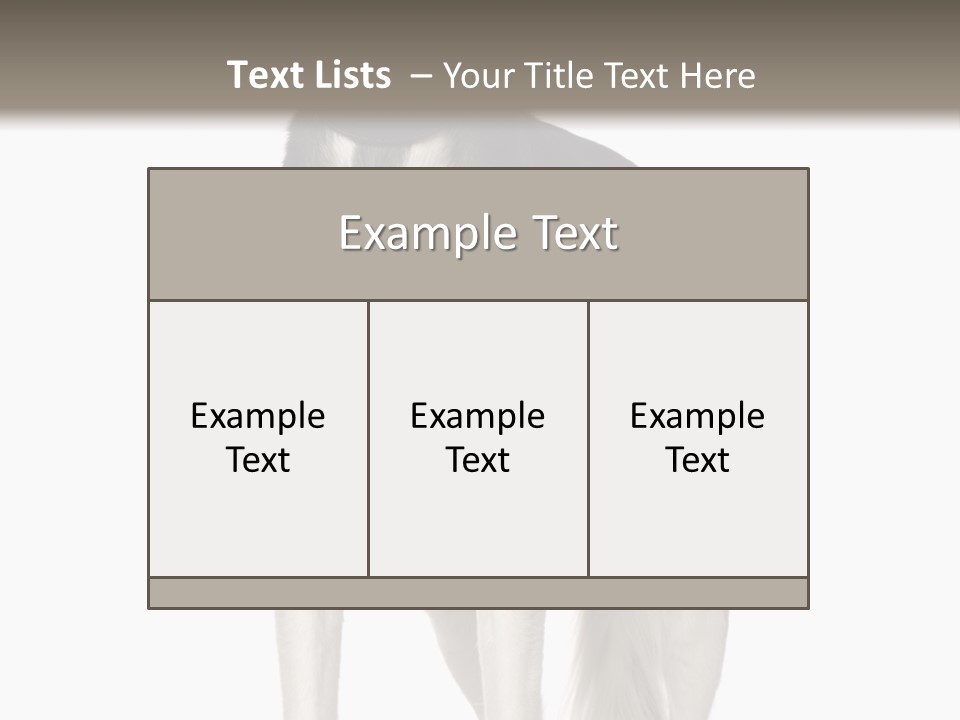 A Black And White Dog Standing In Front Of A White Background PowerPoint Template