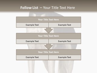 A Black And White Dog Standing In Front Of A White Background PowerPoint Template