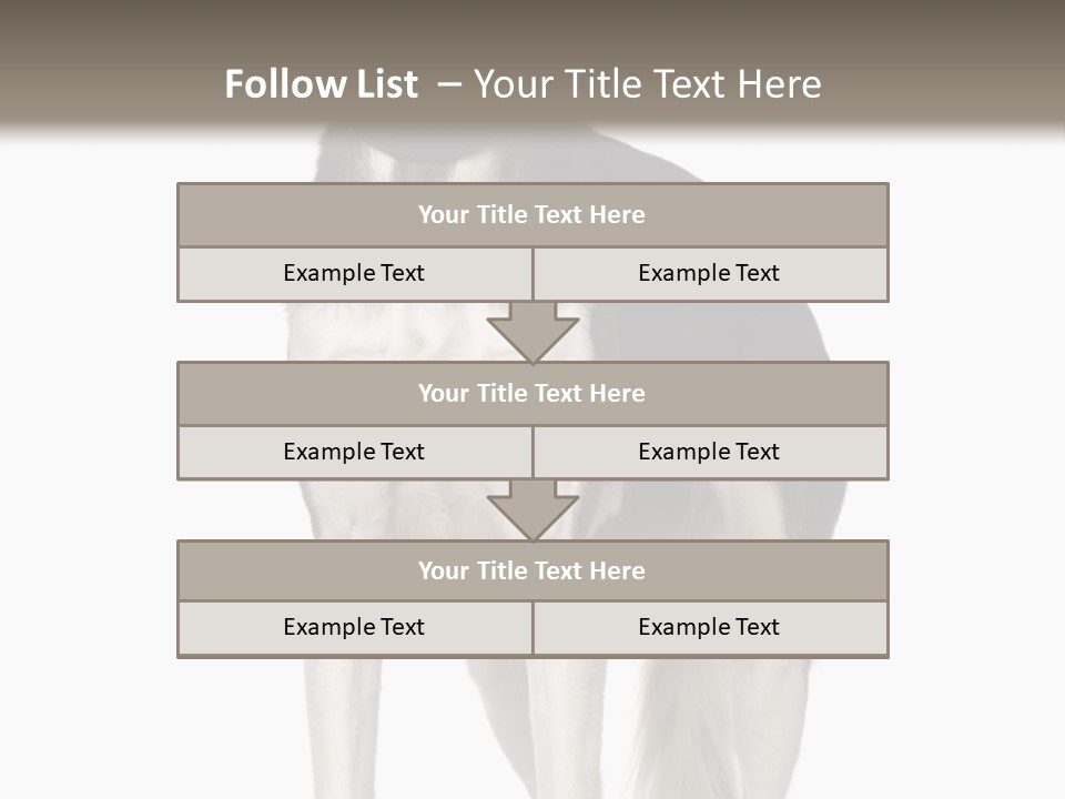 A Black And White Dog Standing In Front Of A White Background PowerPoint Template
