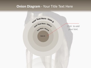 A Black And White Dog Standing In Front Of A White Background PowerPoint Template