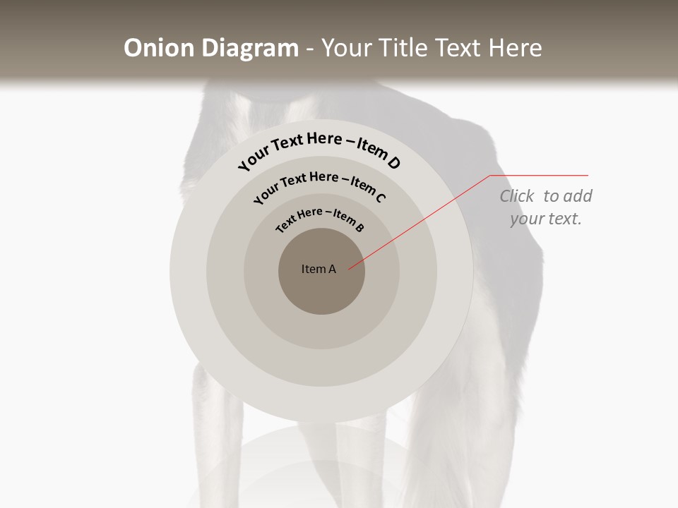 A Black And White Dog Standing In Front Of A White Background PowerPoint Template