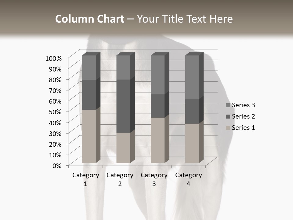 A Black And White Dog Standing In Front Of A White Background PowerPoint Template