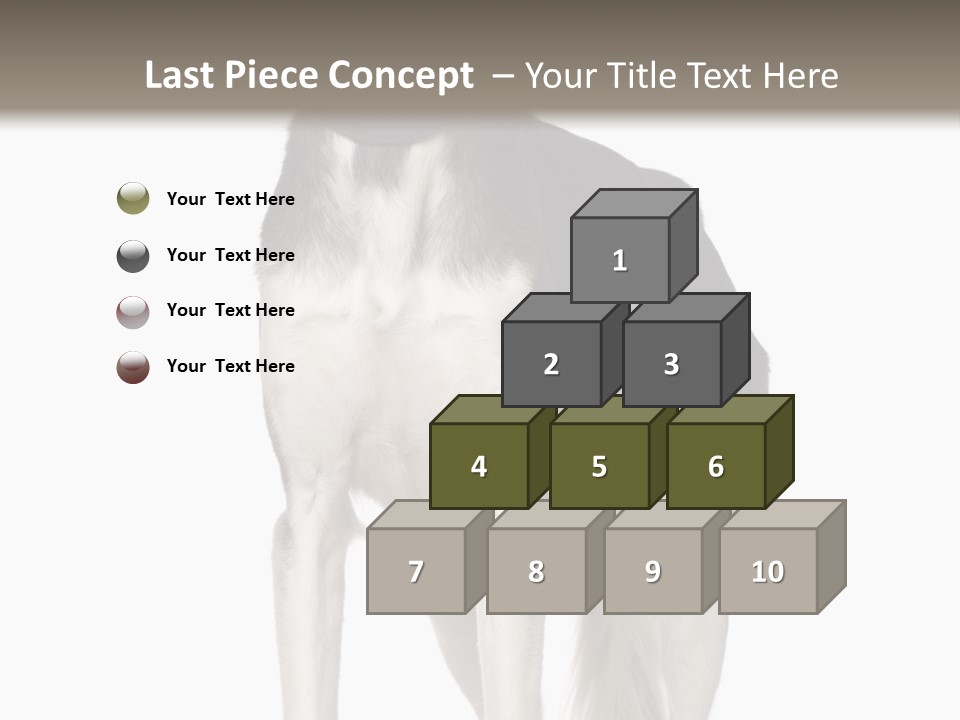 A Black And White Dog Standing In Front Of A White Background PowerPoint Template