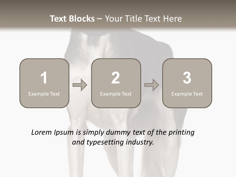 A Black And White Dog Standing In Front Of A White Background PowerPoint Template