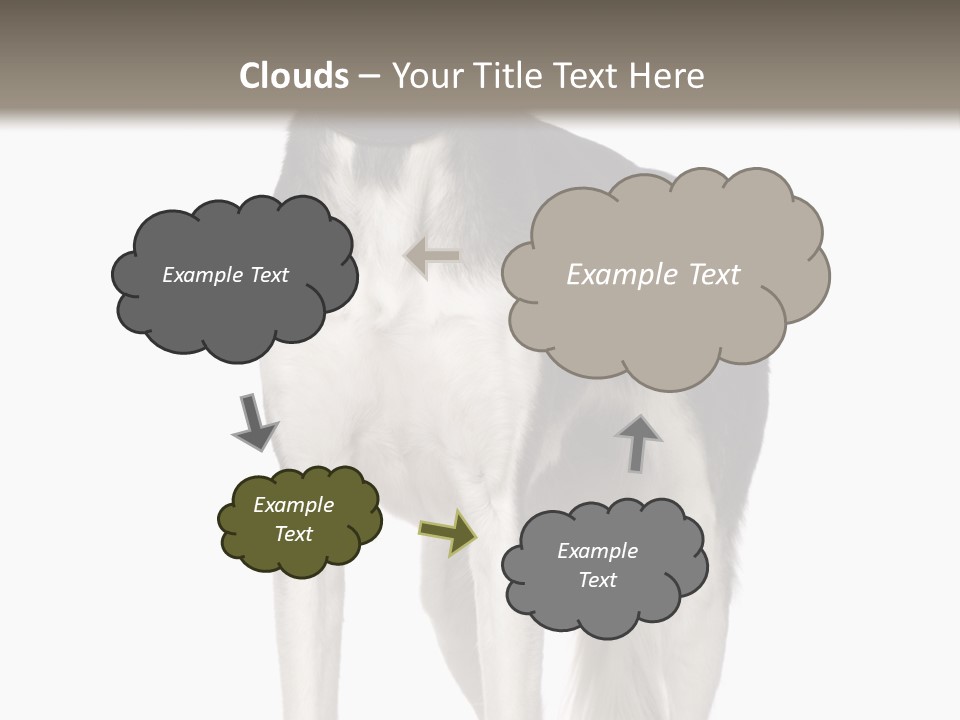 A Black And White Dog Standing In Front Of A White Background PowerPoint Template
