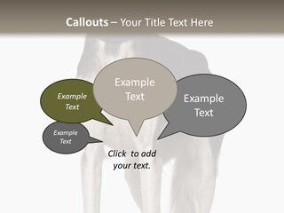 A Black And White Dog Standing In Front Of A White Background PowerPoint Template