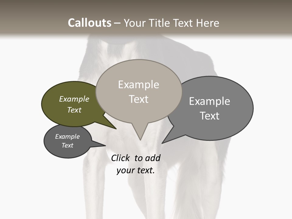 A Black And White Dog Standing In Front Of A White Background PowerPoint Template