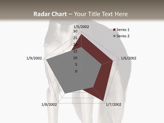 A Black And White Dog Standing In Front Of A White Background PowerPoint Template