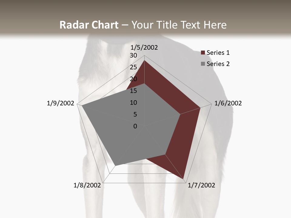 A Black And White Dog Standing In Front Of A White Background PowerPoint Template