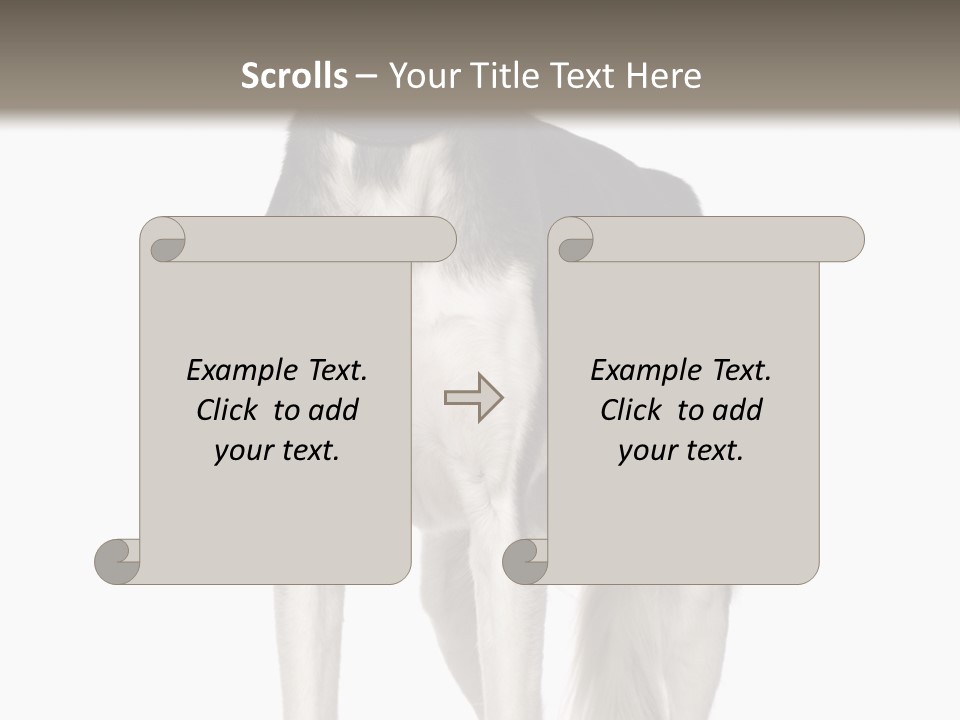 A Black And White Dog Standing In Front Of A White Background PowerPoint Template