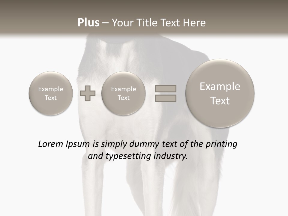 A Black And White Dog Standing In Front Of A White Background PowerPoint Template