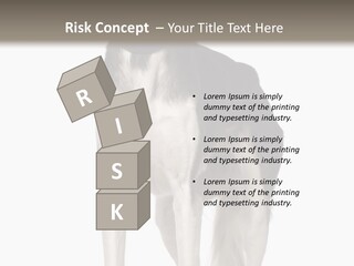 A Black And White Dog Standing In Front Of A White Background PowerPoint Template