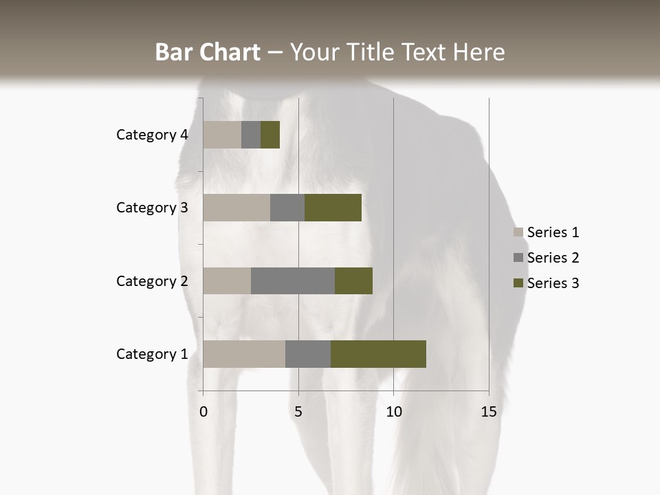A Black And White Dog Standing In Front Of A White Background PowerPoint Template