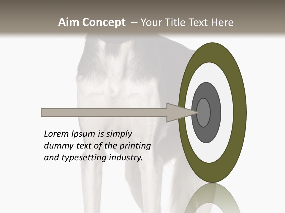 A Black And White Dog Standing In Front Of A White Background PowerPoint Template