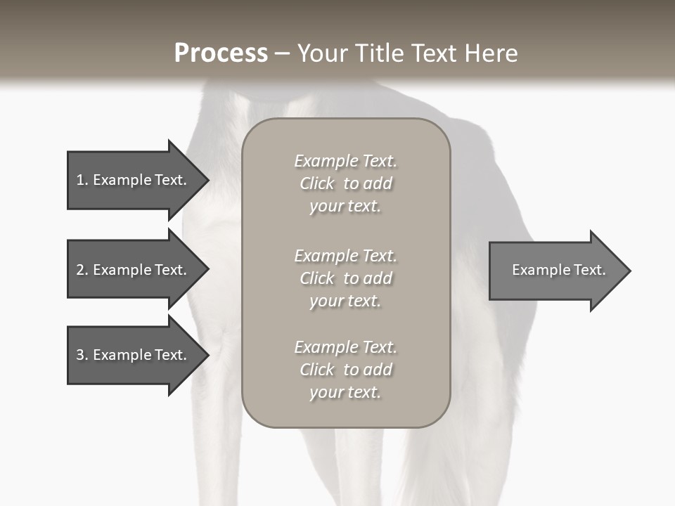 A Black And White Dog Standing In Front Of A White Background PowerPoint Template