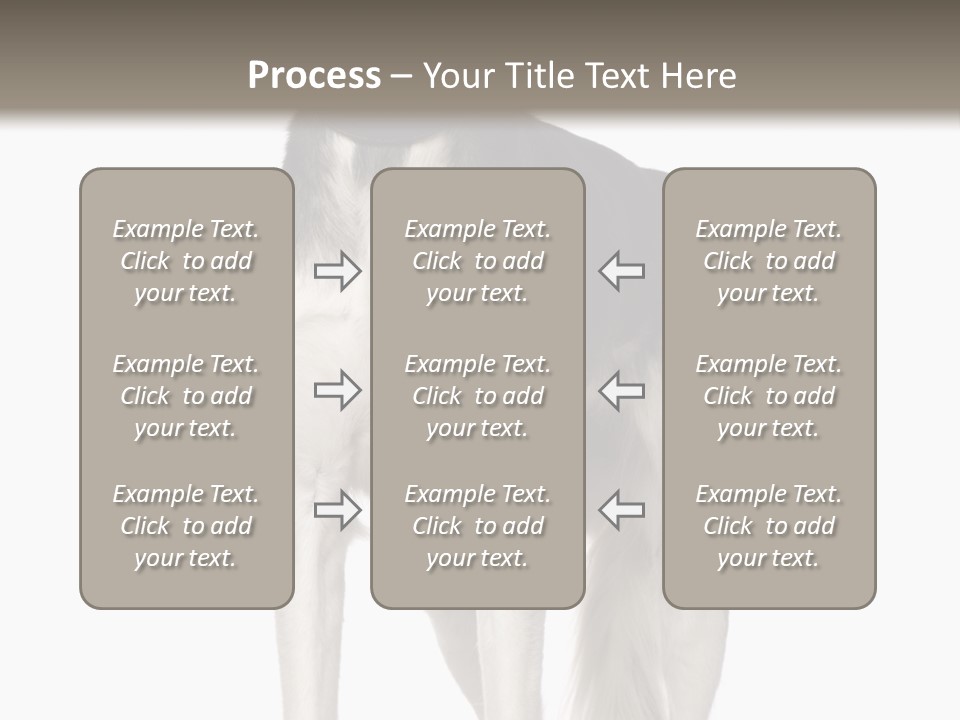 A Black And White Dog Standing In Front Of A White Background PowerPoint Template