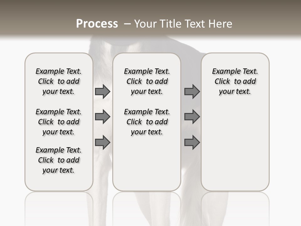 A Black And White Dog Standing In Front Of A White Background PowerPoint Template