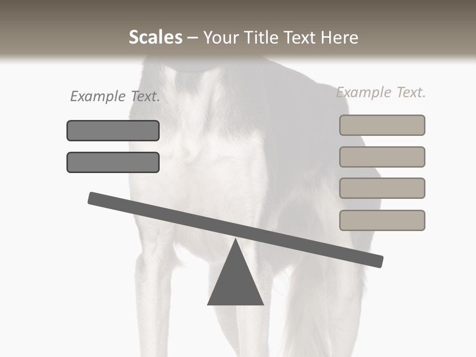 A Black And White Dog Standing In Front Of A White Background PowerPoint Template