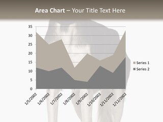 A Black And White Dog Standing In Front Of A White Background PowerPoint Template