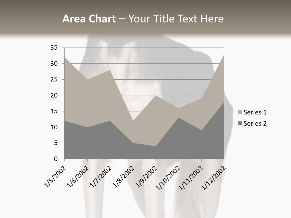A Black And White Dog Standing In Front Of A White Background PowerPoint Template
