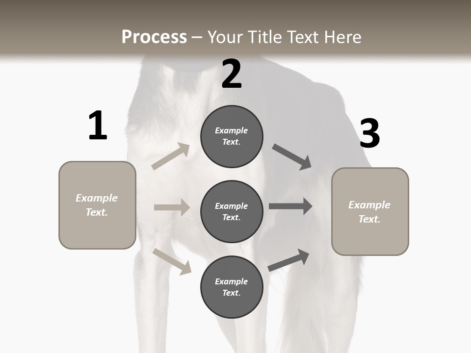 A Black And White Dog Standing In Front Of A White Background PowerPoint Template