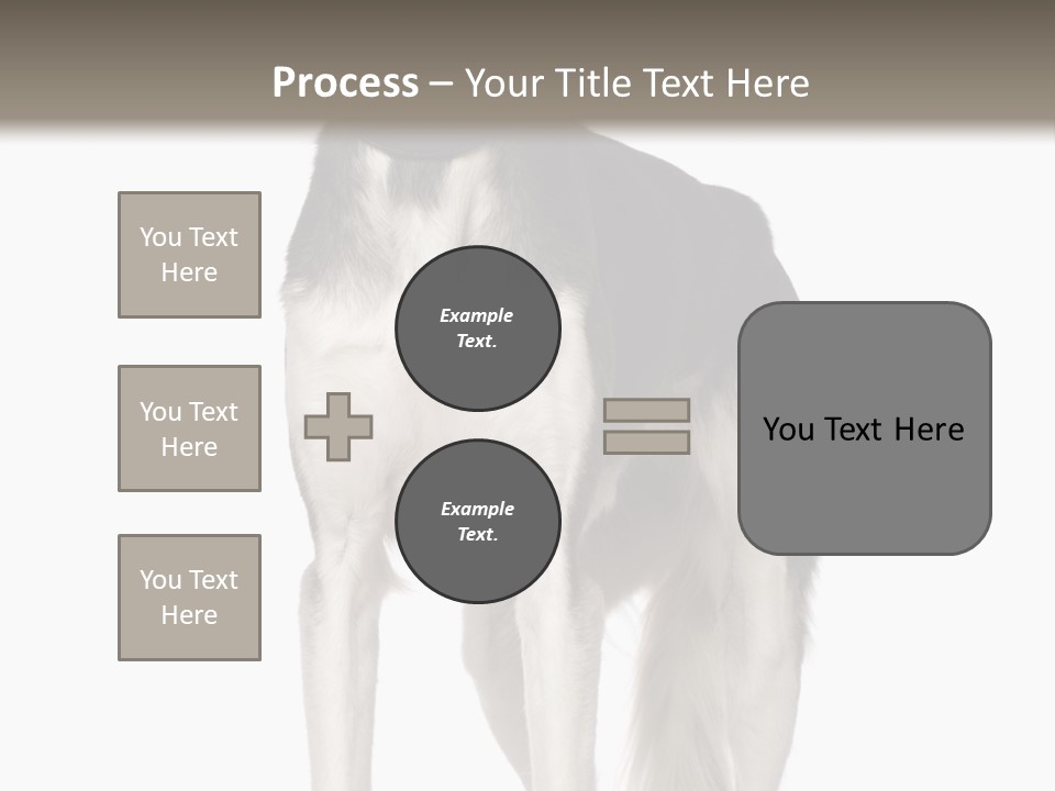 A Black And White Dog Standing In Front Of A White Background PowerPoint Template