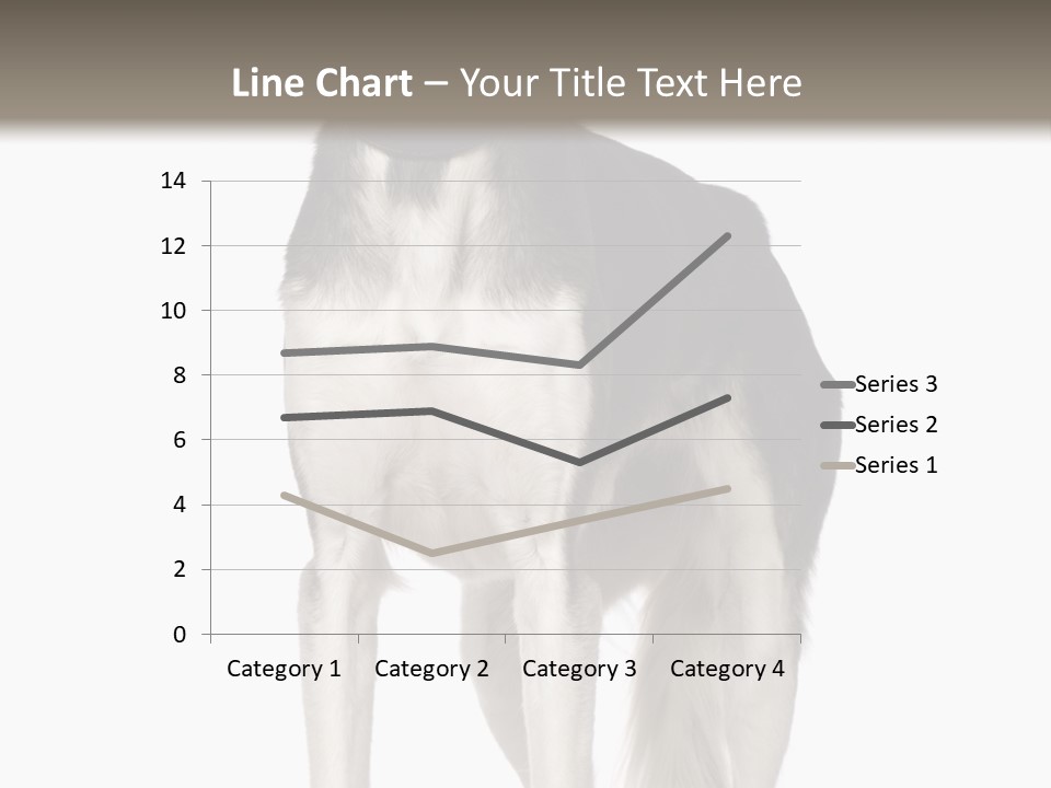 A Black And White Dog Standing In Front Of A White Background PowerPoint Template