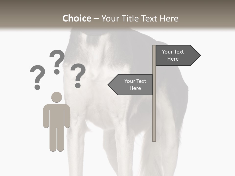 A Black And White Dog Standing In Front Of A White Background PowerPoint Template
