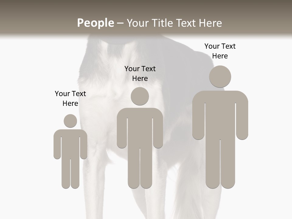 A Black And White Dog Standing In Front Of A White Background PowerPoint Template