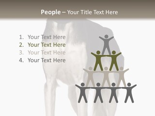 A Black And White Dog Standing In Front Of A White Background PowerPoint Template