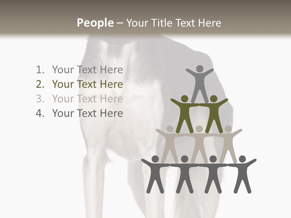 A Black And White Dog Standing In Front Of A White Background PowerPoint Template