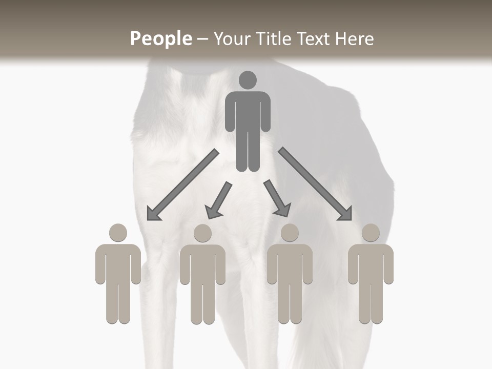 A Black And White Dog Standing In Front Of A White Background PowerPoint Template