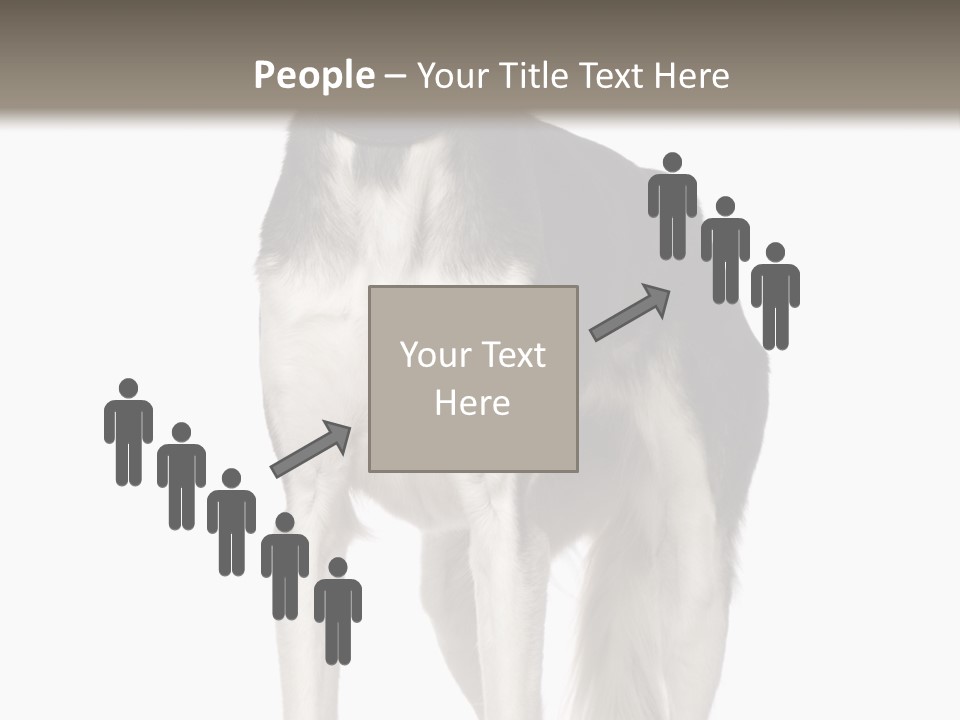 A Black And White Dog Standing In Front Of A White Background PowerPoint Template