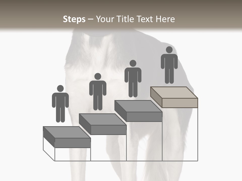 A Black And White Dog Standing In Front Of A White Background PowerPoint Template
