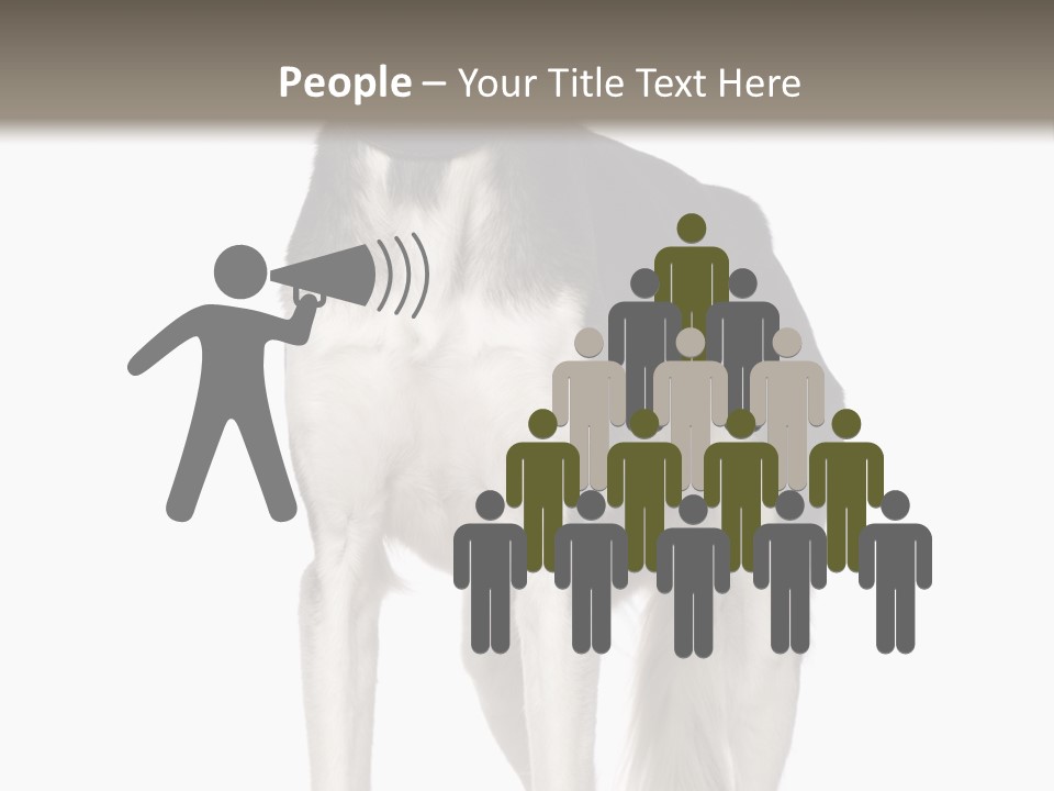 A Black And White Dog Standing In Front Of A White Background PowerPoint Template