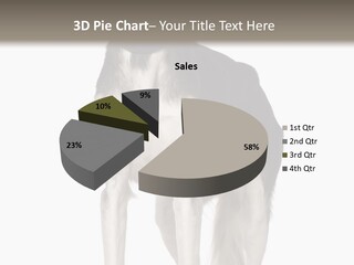 A Black And White Dog Standing In Front Of A White Background PowerPoint Template