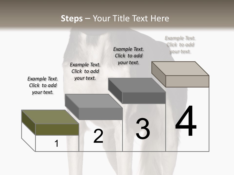 A Black And White Dog Standing In Front Of A White Background PowerPoint Template