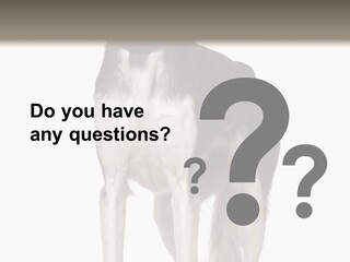 A Black And White Dog Standing In Front Of A White Background PowerPoint Template