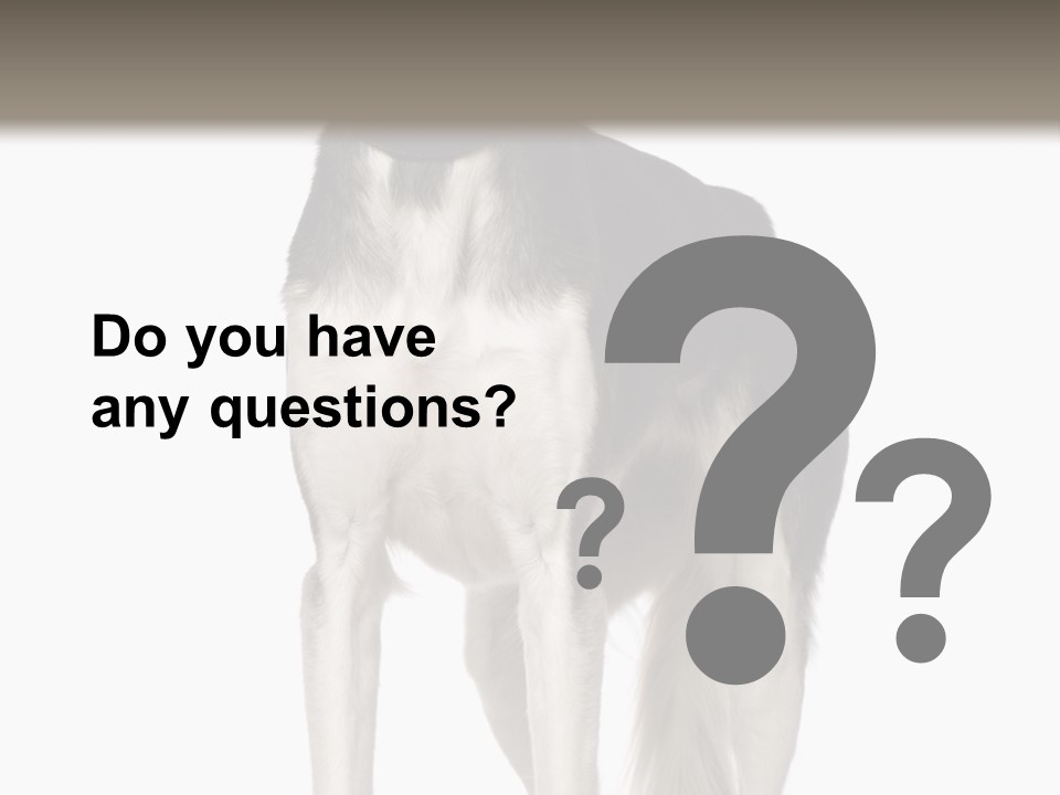 A Black And White Dog Standing In Front Of A White Background PowerPoint Template