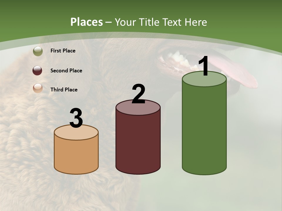 A Brown Dog Sitting On Top Of A Green Field PowerPoint Template