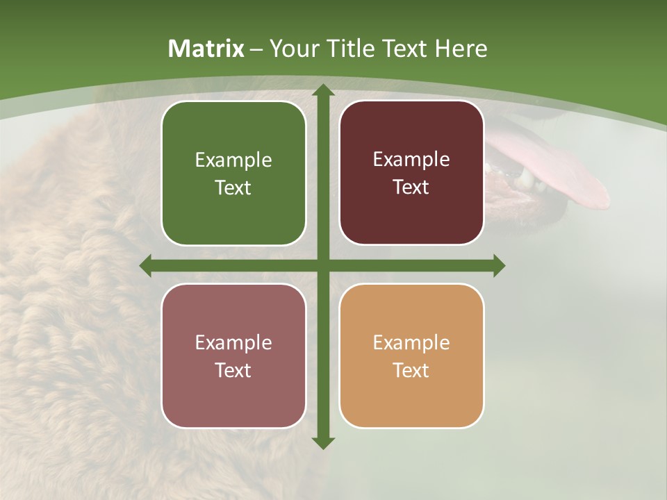 A Brown Dog Sitting On Top Of A Green Field PowerPoint Template