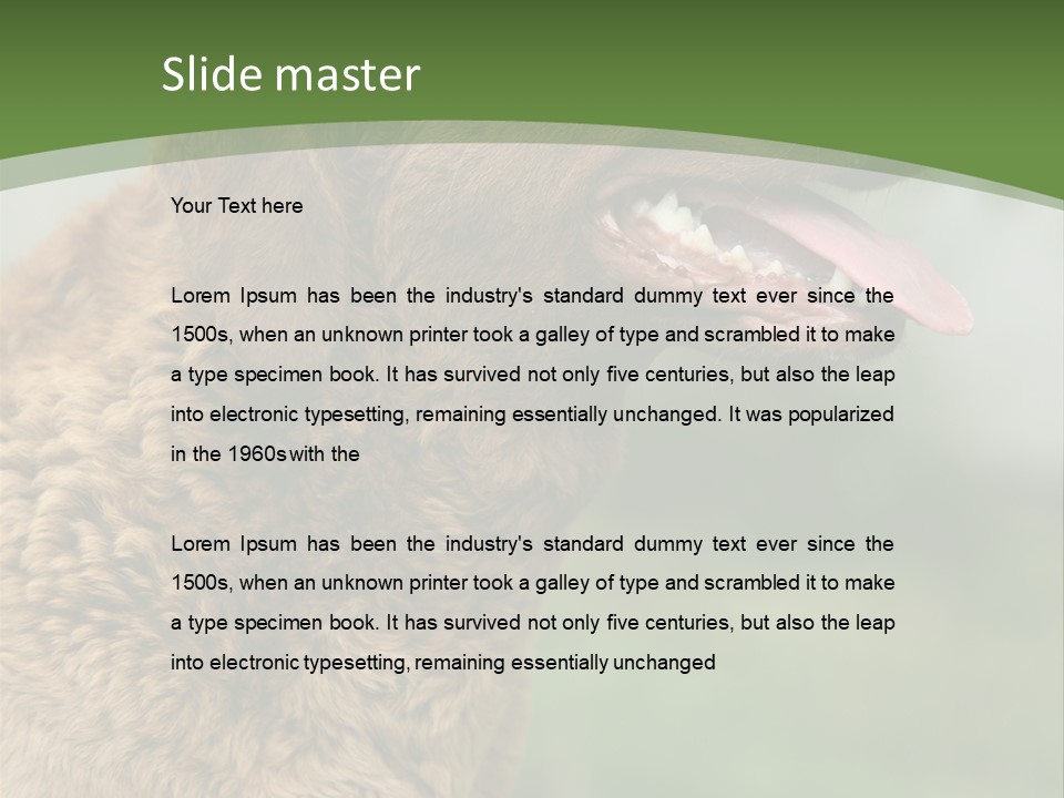 A Brown Dog Sitting On Top Of A Green Field PowerPoint Template