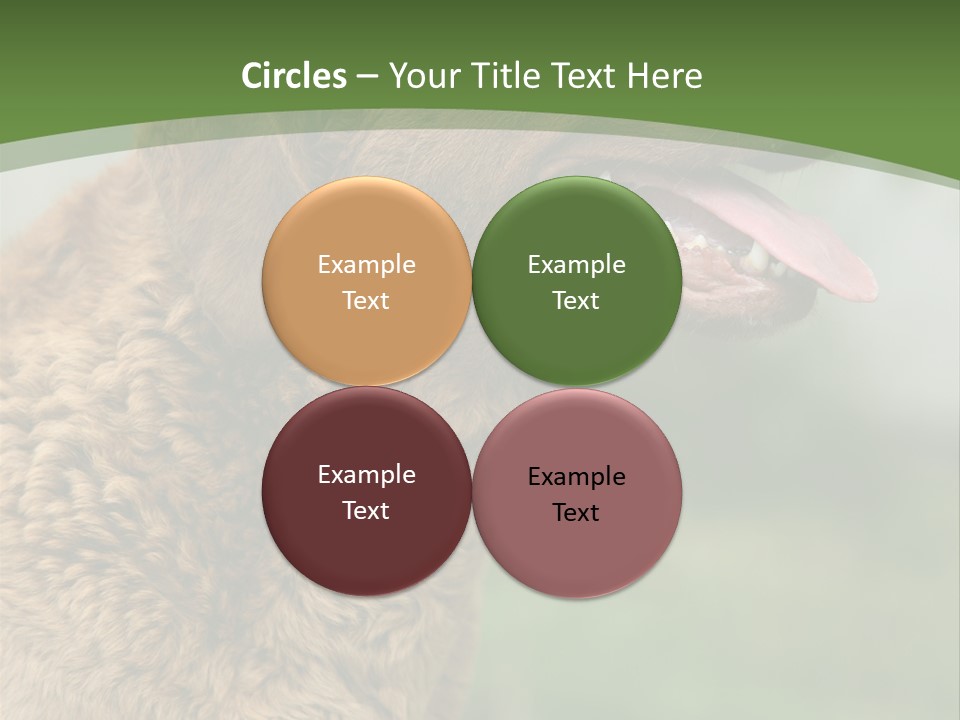 A Brown Dog Sitting On Top Of A Green Field PowerPoint Template