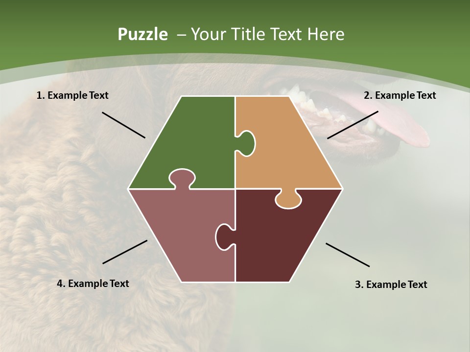 A Brown Dog Sitting On Top Of A Green Field PowerPoint Template