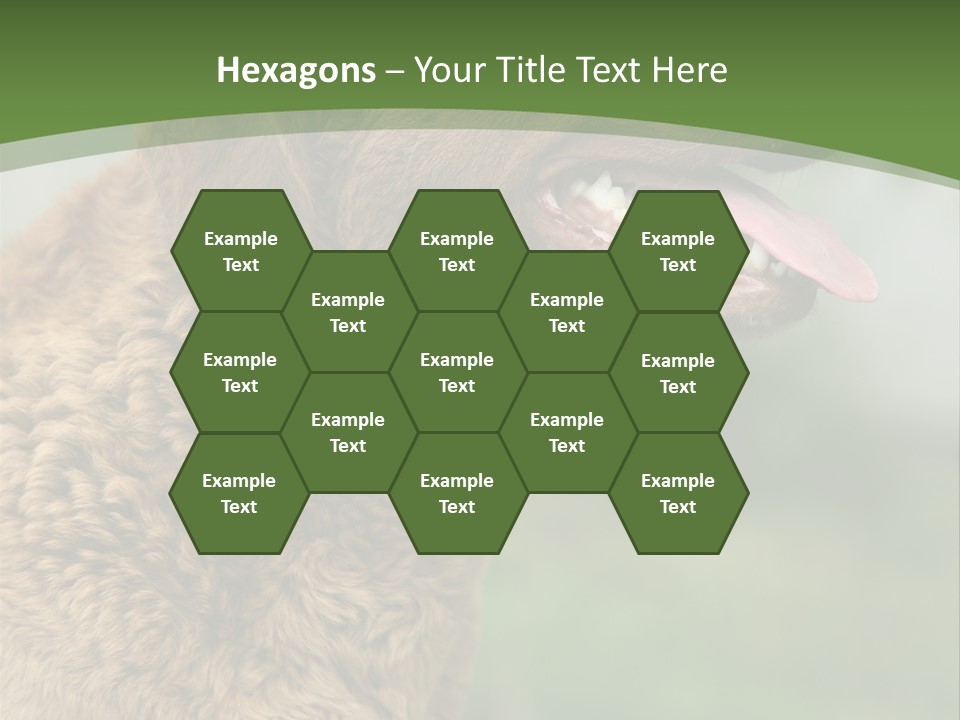 A Brown Dog Sitting On Top Of A Green Field PowerPoint Template