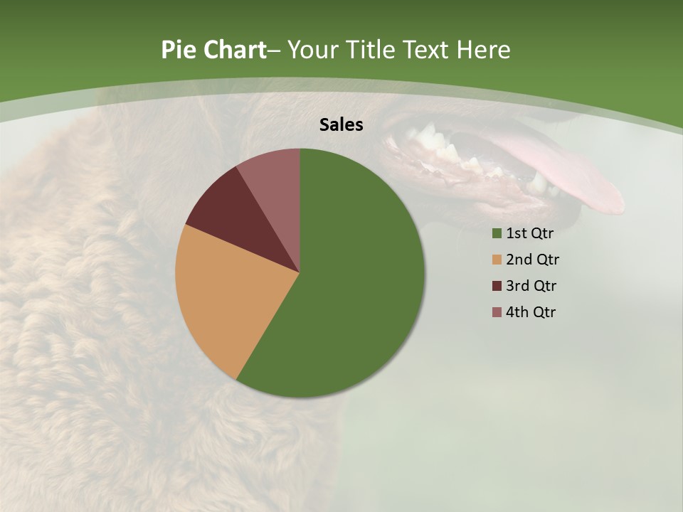 A Brown Dog Sitting On Top Of A Green Field PowerPoint Template