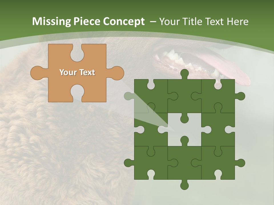 A Brown Dog Sitting On Top Of A Green Field PowerPoint Template
