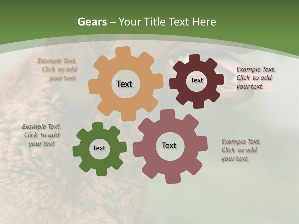 A Brown Dog Sitting On Top Of A Green Field PowerPoint Template